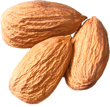 Almond