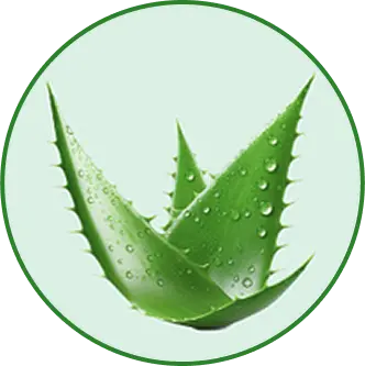 Aloevera
