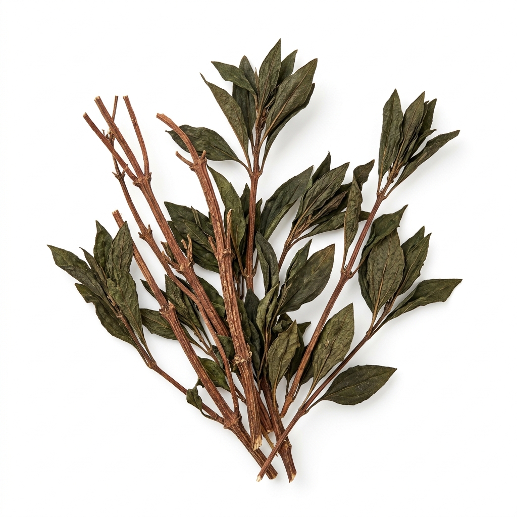 Chirayta