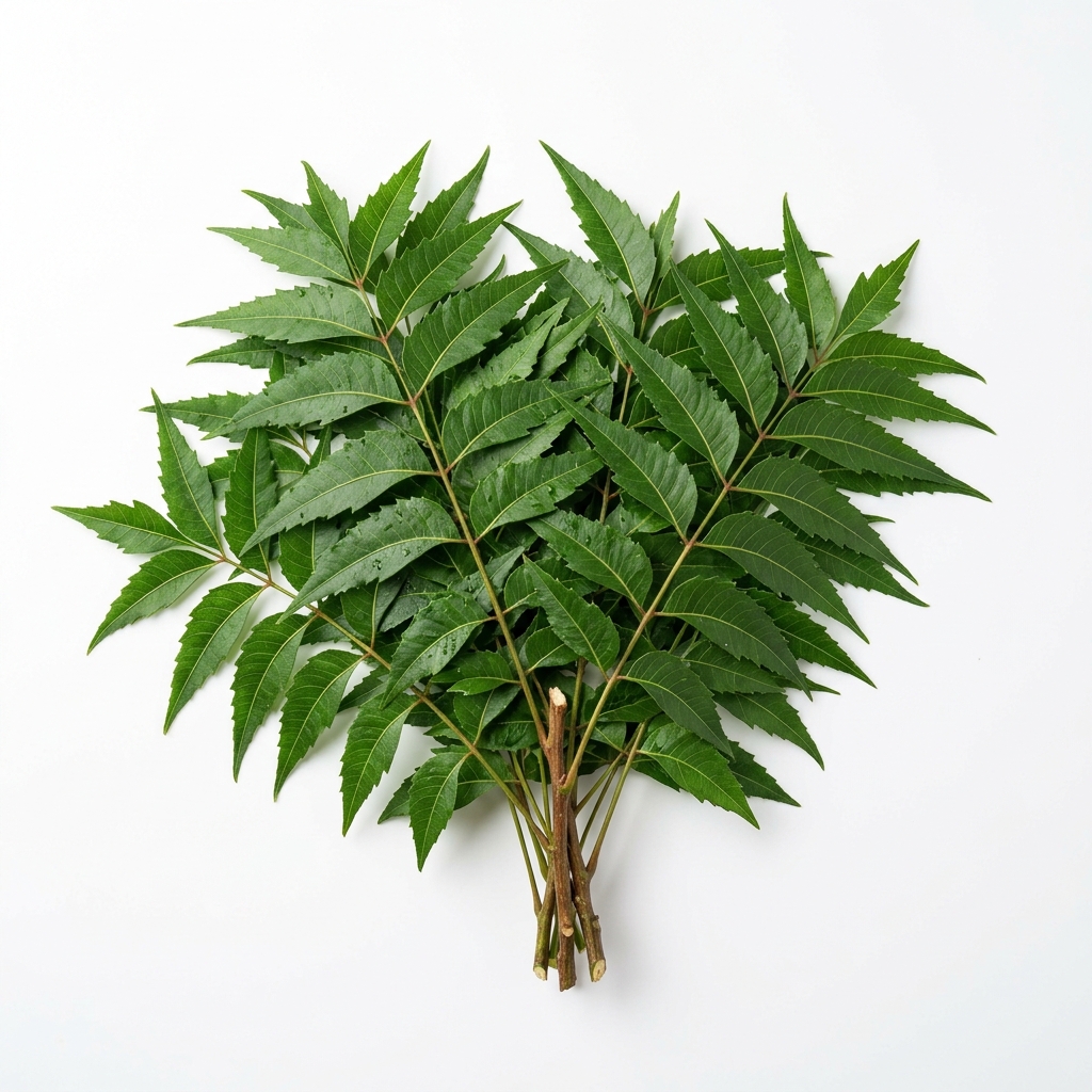 Neem Extract